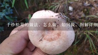 干炒松茸的做法，怎么做，如何做，图解详细步骤–菜