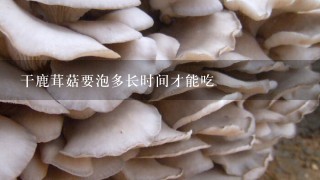 干鹿茸菇要泡多长时间才能吃