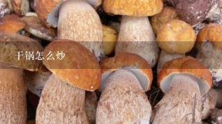 干锅怎么炒