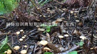 厨师培训班短期培训能学什么东西？