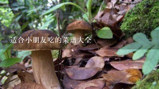 适合小朋友吃的菜谱大全