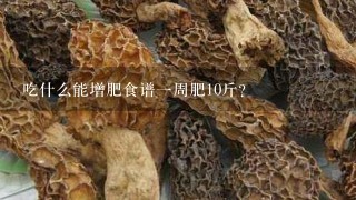 吃什么能增肥食谱1周肥10斤？