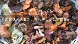 用茶麸怎么养发，茶麸洗头是怎么操作的？