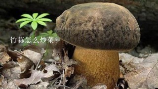 竹荪怎么炒菜？