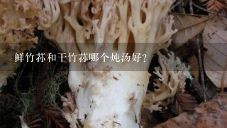 鲜竹荪和干竹荪哪个炖汤好？