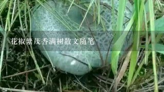 花椒繁茂香满树散文随笔