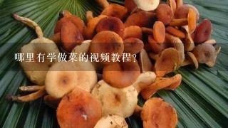 哪里有学做菜的视频教程？