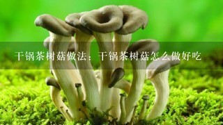 干锅茶树菇做法：干锅茶树菇怎么做好吃