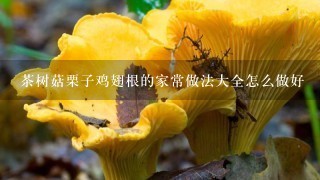 茶树菇栗子鸡翅根的家常做法大全怎么做好