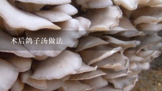 术后鸽子汤做法