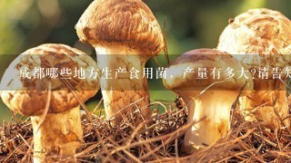 成都哪些地方生产食用菌，产量有多大?请告知具体是那些镇(乡)。