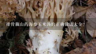 排骨藕山药海参玉米汤的正确做法大全？