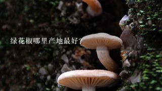 绿花椒哪里产地最好？