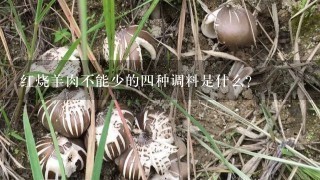 红烧羊肉不能少的4种调料是什么?