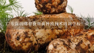 广东深圳哪有食用菌种植技术培训学校? 做广告的请绕路!