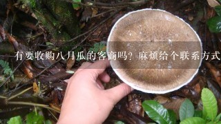 有要收购8月瓜的客商吗？麻烦给个联系方式，谢谢