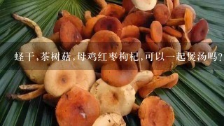 蛏干,茶树菇,母鸡红枣枸杞,可以1起煲汤吗?