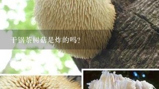 干锅茶树菇是炸的吗？