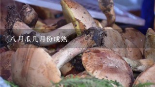 8月瓜几月份成熟