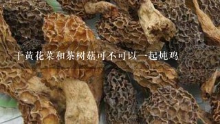 干黄花菜和茶树菇可不可以1起炖鸡