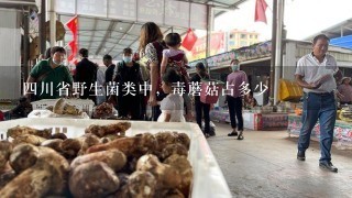 4川省野生菌类中，毒蘑菇占多少