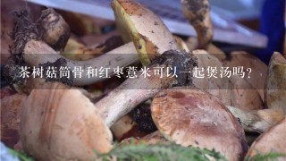 茶树菇筒骨和红枣薏米可以1起煲汤吗？