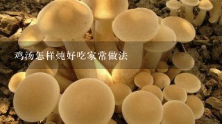 鸡汤怎样炖好吃家常做法