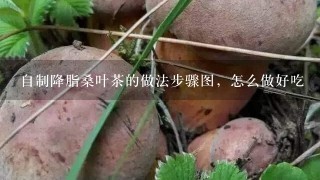 自制降脂桑叶茶的做法步骤图，怎么做好吃