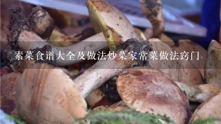 素菜食谱大全及做法炒菜家常菜做法窍门