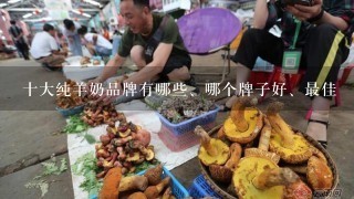 十大纯羊奶品牌有哪些、哪个牌子好、最佳