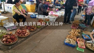 中国食用菌销售额最大的品种