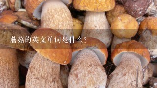 蘑菇的英文单词是什么？