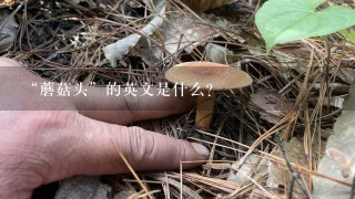 “蘑菇头”的英文是什么？