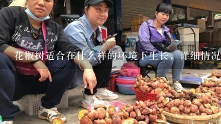 花椒树适合在什么样的环境下生长，详细情况，谢谢？