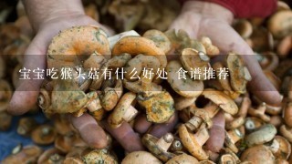 宝宝吃猴头菇有什么好处 食谱推荐