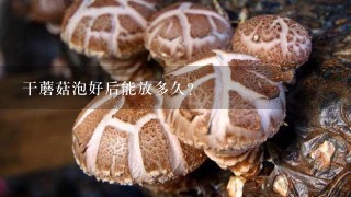 干蘑菇泡好后能放多久？