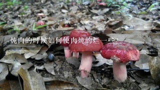 炖肉的时候如何使肉炖的烂1些？