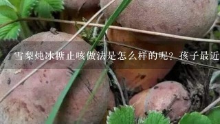 雪梨炖冰糖止咳做法是怎么样的呢？孩子最近老是咳嗽，我很担心呀，想弄个雪梨炖冰糖给他吃？