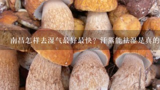 南昌怎样去湿气最好最快？汗蒸能祛湿是真的吗？