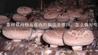 茶树菇闷炒5花肉的做法步骤图，怎么做好吃