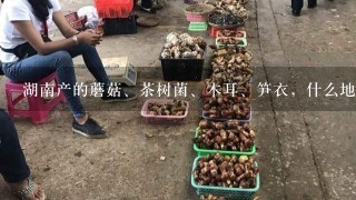 湖南产的蘑菇、茶树菌、木耳、笋衣，什么地方买有正宗又便宜？