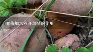 韭菜加水煮开加醋的作用