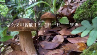 怎么使用智能手机“扫1扫”2维码