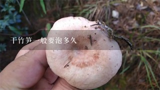 干竹笋1般要泡多久