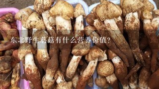 东北野生蘑菇有什么营养价值？