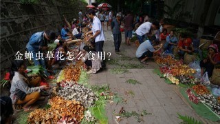 金蝉虫草花怎么食用？