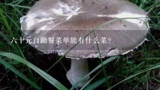 6十元自助餐菜单能有什么菜？