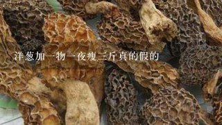 洋葱加1物1夜瘦3斤真的假的