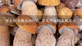 煲5指毛桃汤加什么 常见的5指毛桃煲汤3种做法