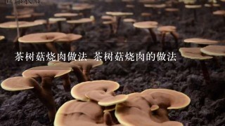 茶树菇烧肉做法 茶树菇烧肉的做法